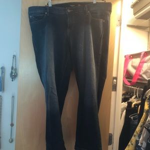 Straight leg Torrid jeans